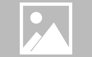 定安编制网站建设（编制网站建设包括哪些）